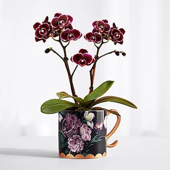 Европейска творческа керамична ваза сушени цветя подреждане на цветя аксесоари многофункционална чаша плот ваза домашна декорация