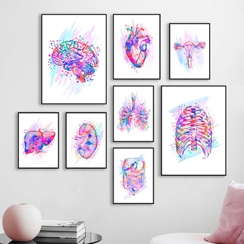 Modern Abstract Human Artwork Poster Painting Wall Art Picture Organ Education Акварел Плакат Canvas Painting for Home Decor