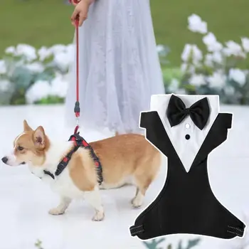 Куче смокинг дрехи лесен за сваляне домашни любимци смокинг дрехи пачуърк гърдите сбруя мода кучета смокинг сватбено тържество