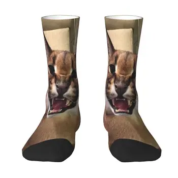 Harajuku Caracal Cat Floppa Meme Чорапи Жени Мъже Топло 3D печат Спортни футболни чорапи